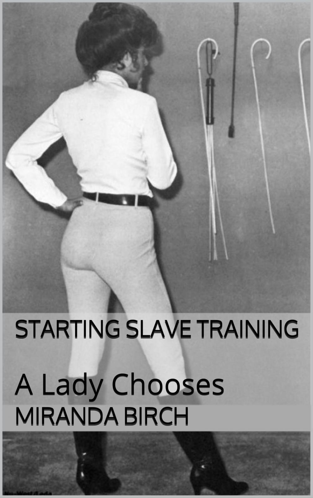 Big bigCover of Starting Slave Training