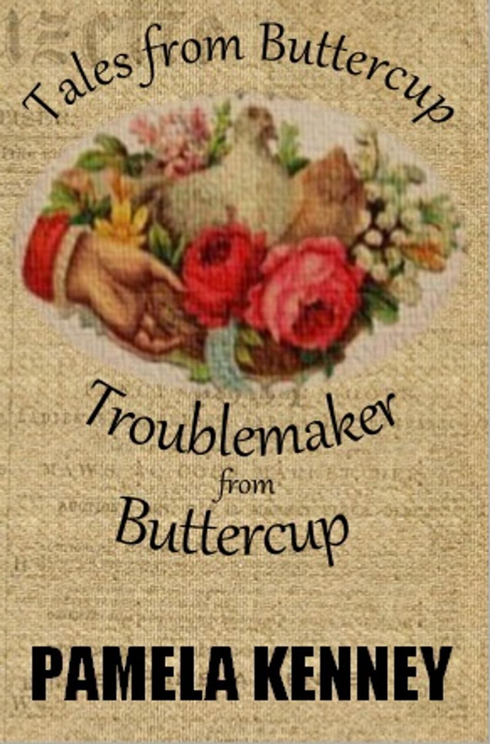 Big bigCover of Troublemaker from Buttercup