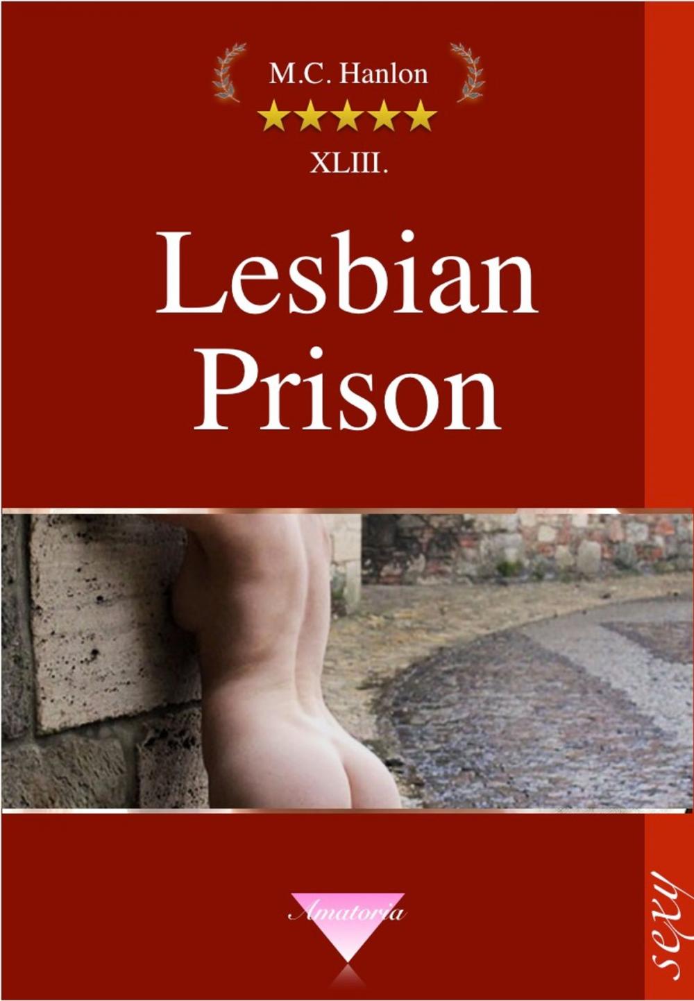 Big bigCover of Lesbian Prison