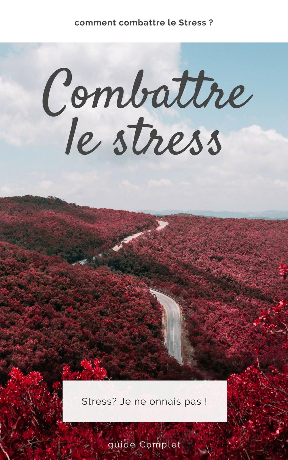 Big bigCover of Comment Combattre le Stress