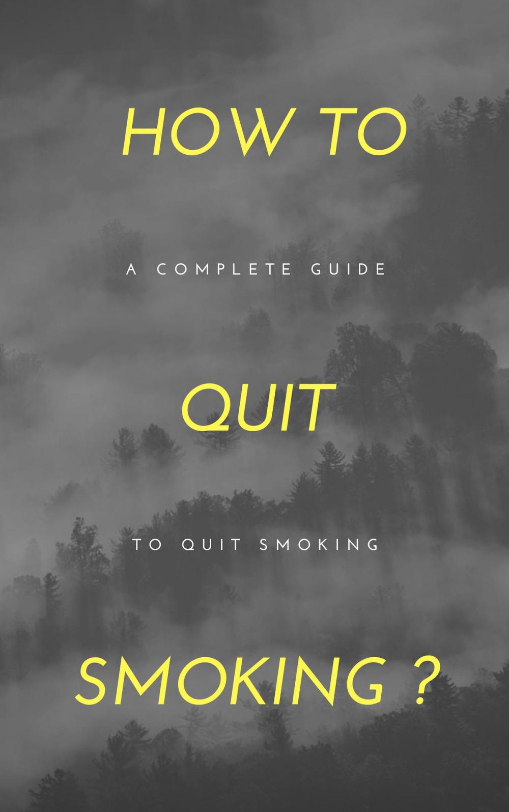 Big bigCover of How to quit Smoking