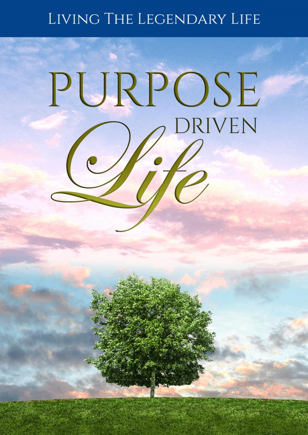 Big bigCover of Purpose Driven Life