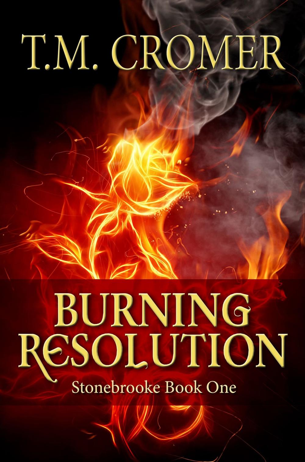 Big bigCover of Burning Resolution