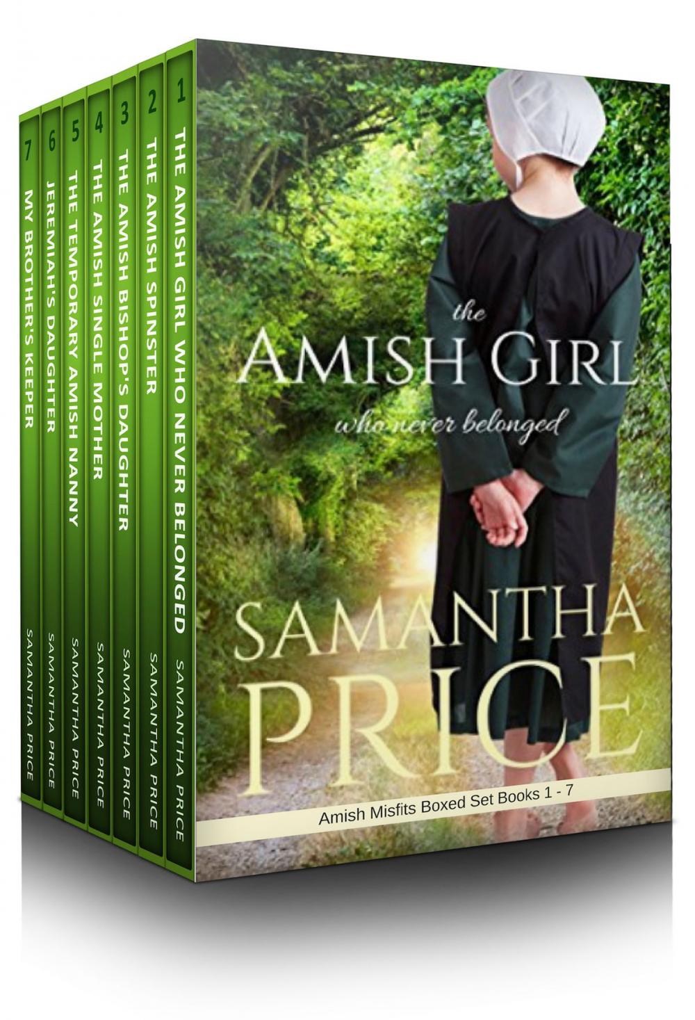 Big bigCover of Amish Misfits Boxed Set