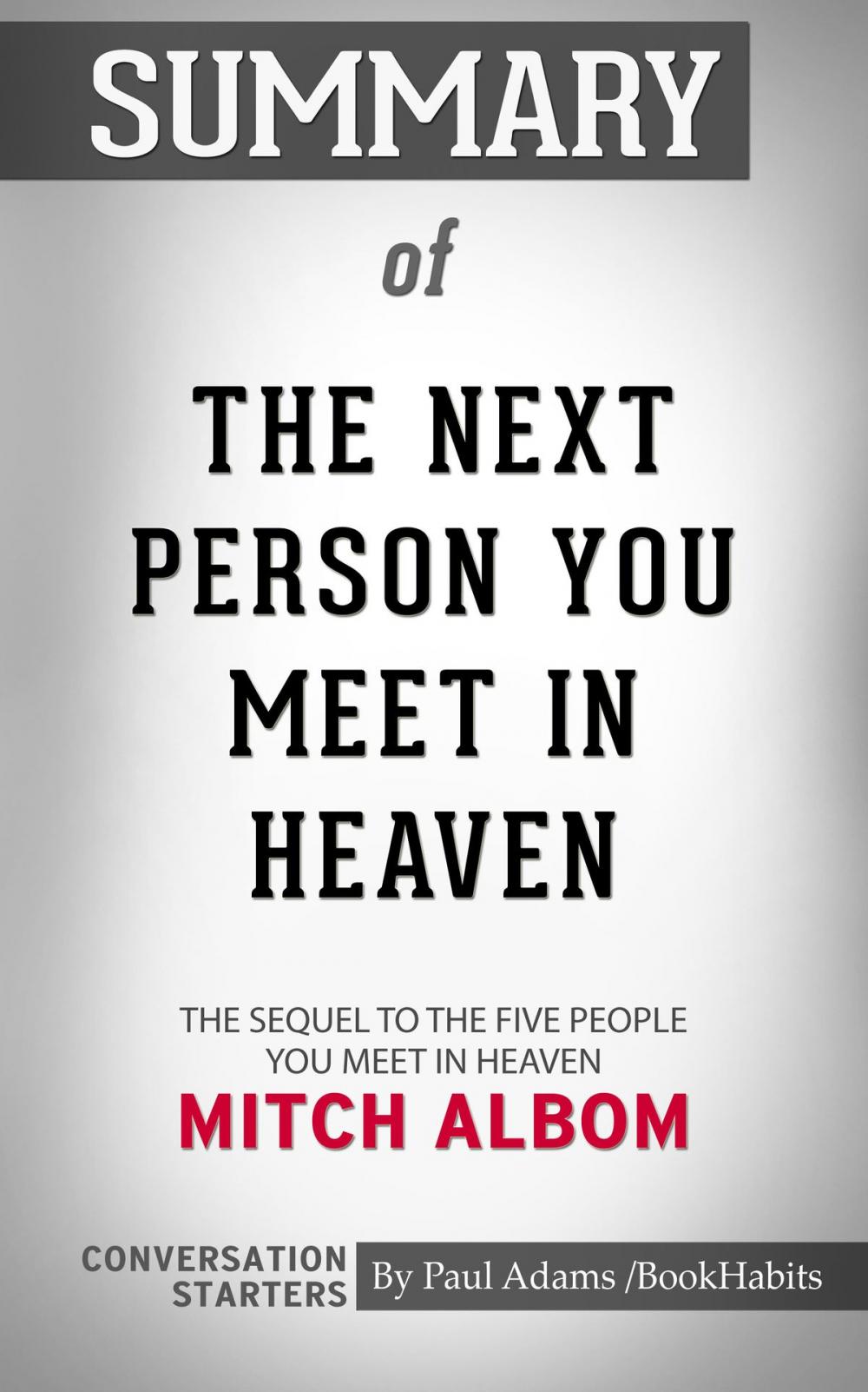 Big bigCover of Summary of The Next Person You Meet in Heaven: The Sequel to The Five People You Meet in Heaven