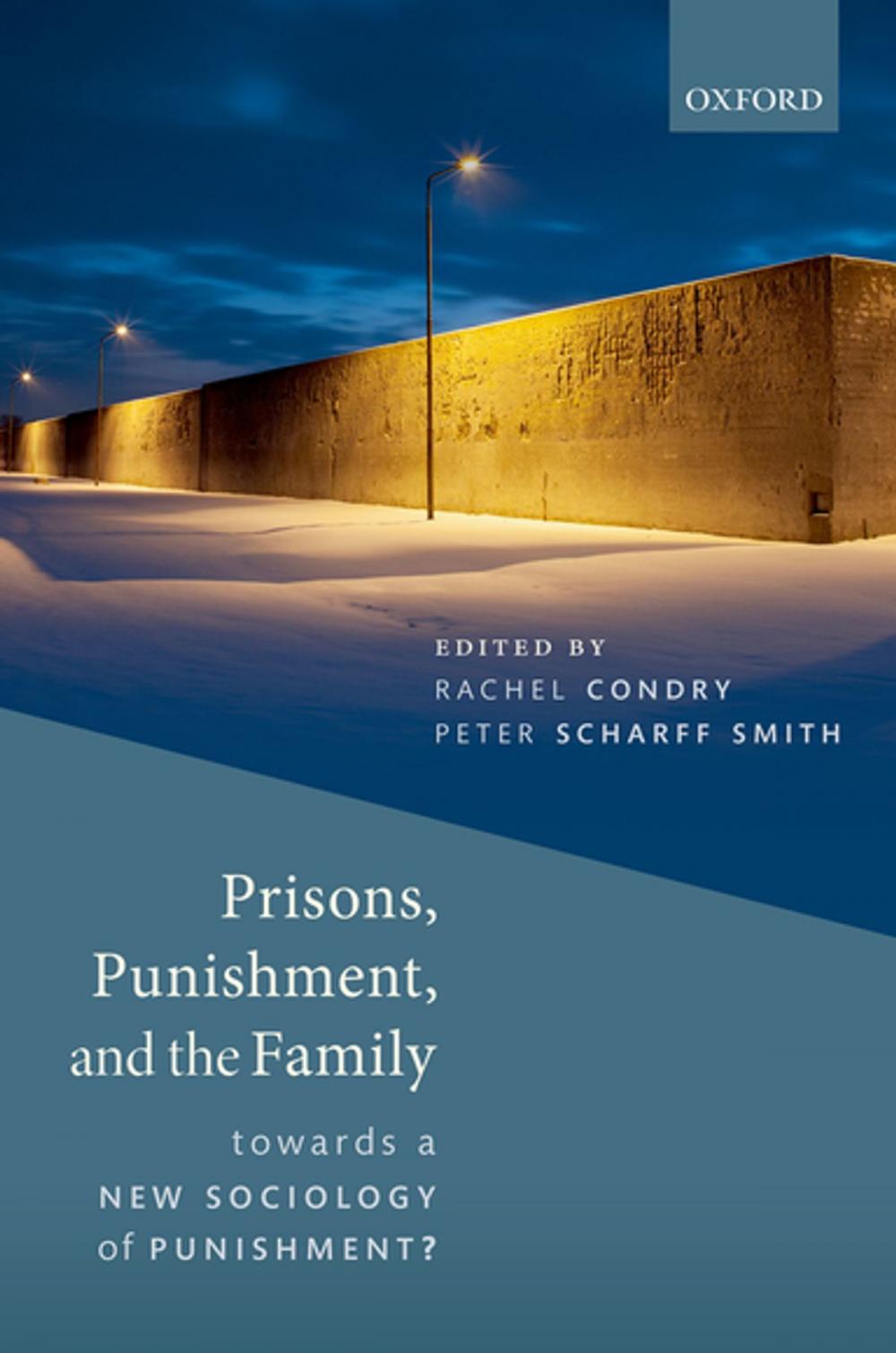 Big bigCover of Prisons, Punishment, and the Family