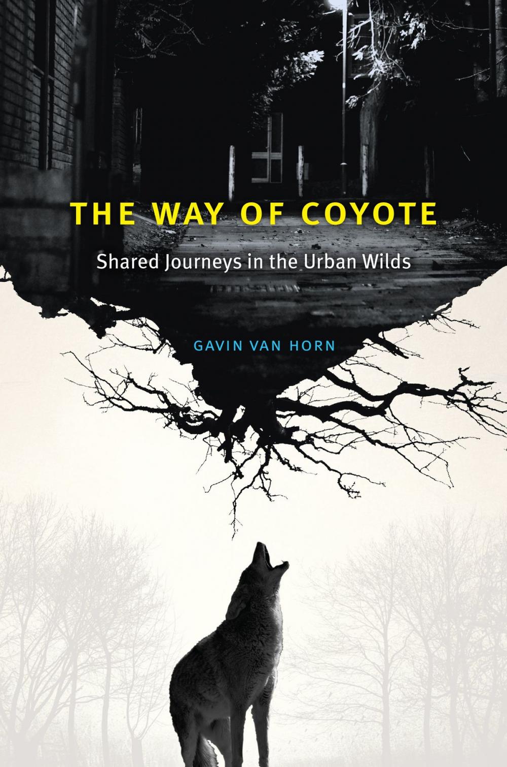 Big bigCover of The Way of Coyote