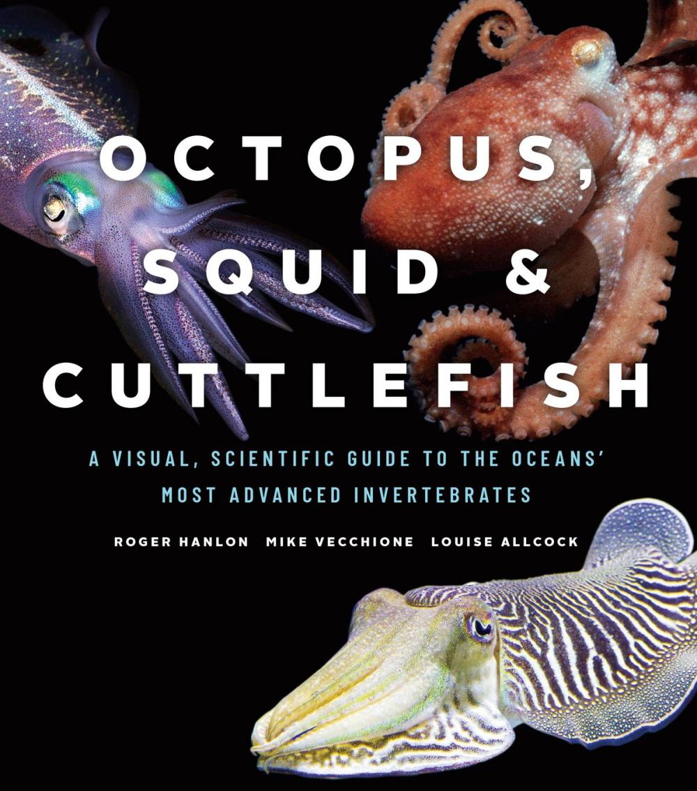 Big bigCover of Octopus, Squid, and Cuttlefish