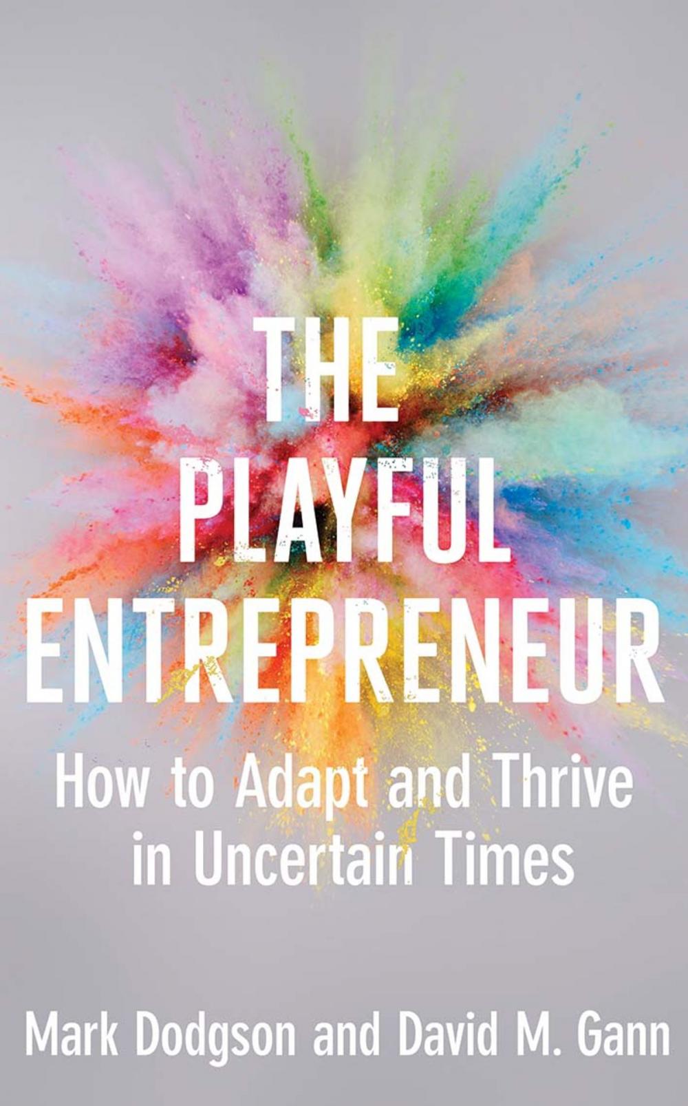 Big bigCover of The Playful Entrepreneur