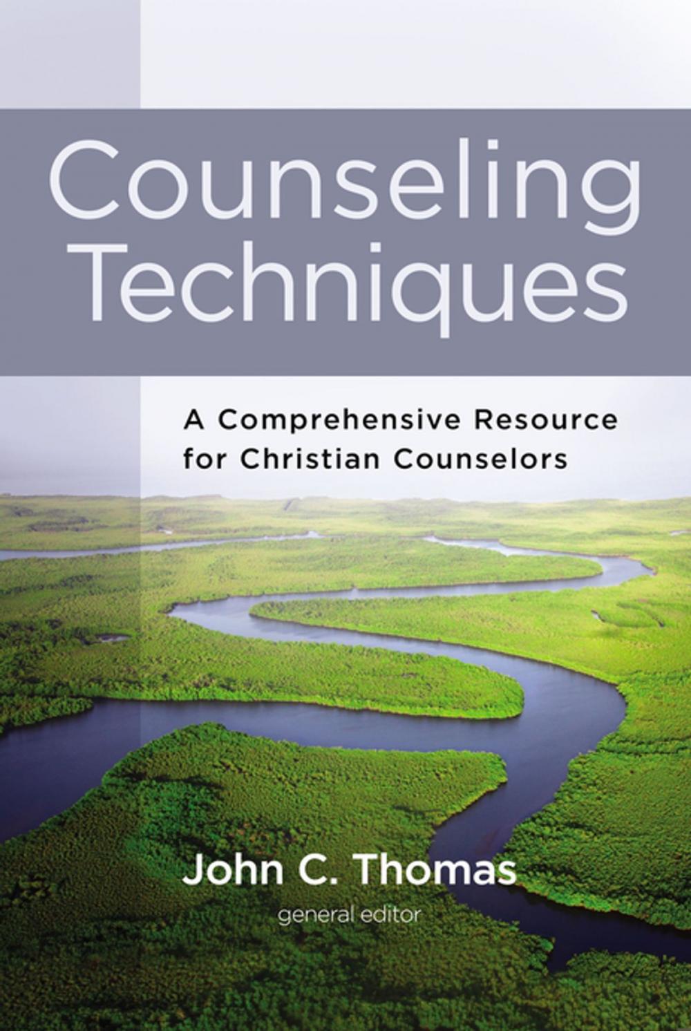 Big bigCover of Counseling Techniques