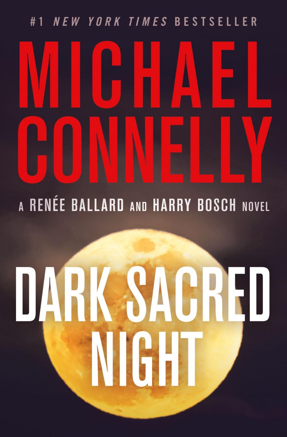 Big bigCover of Dark Sacred Night