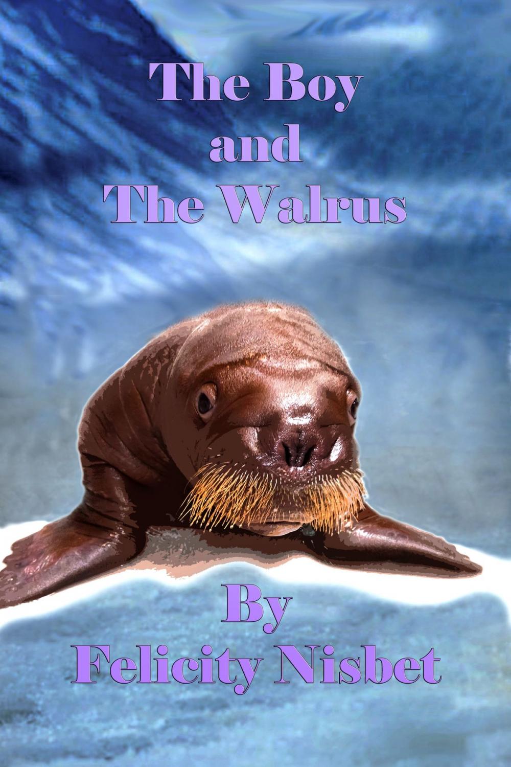 Big bigCover of The Boy and the Walrus