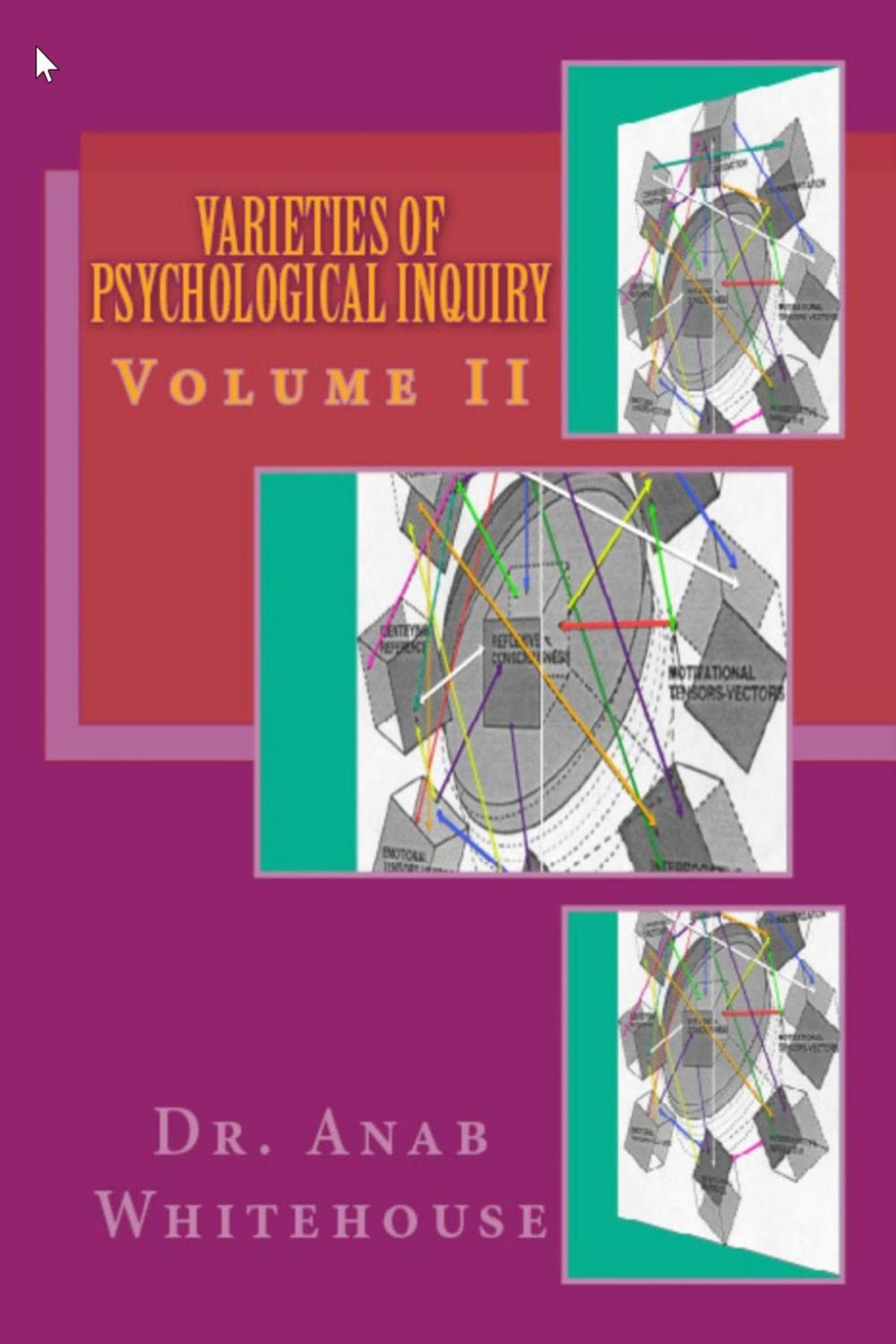 Big bigCover of Varieties of Psychological Inquiry: Volume 2