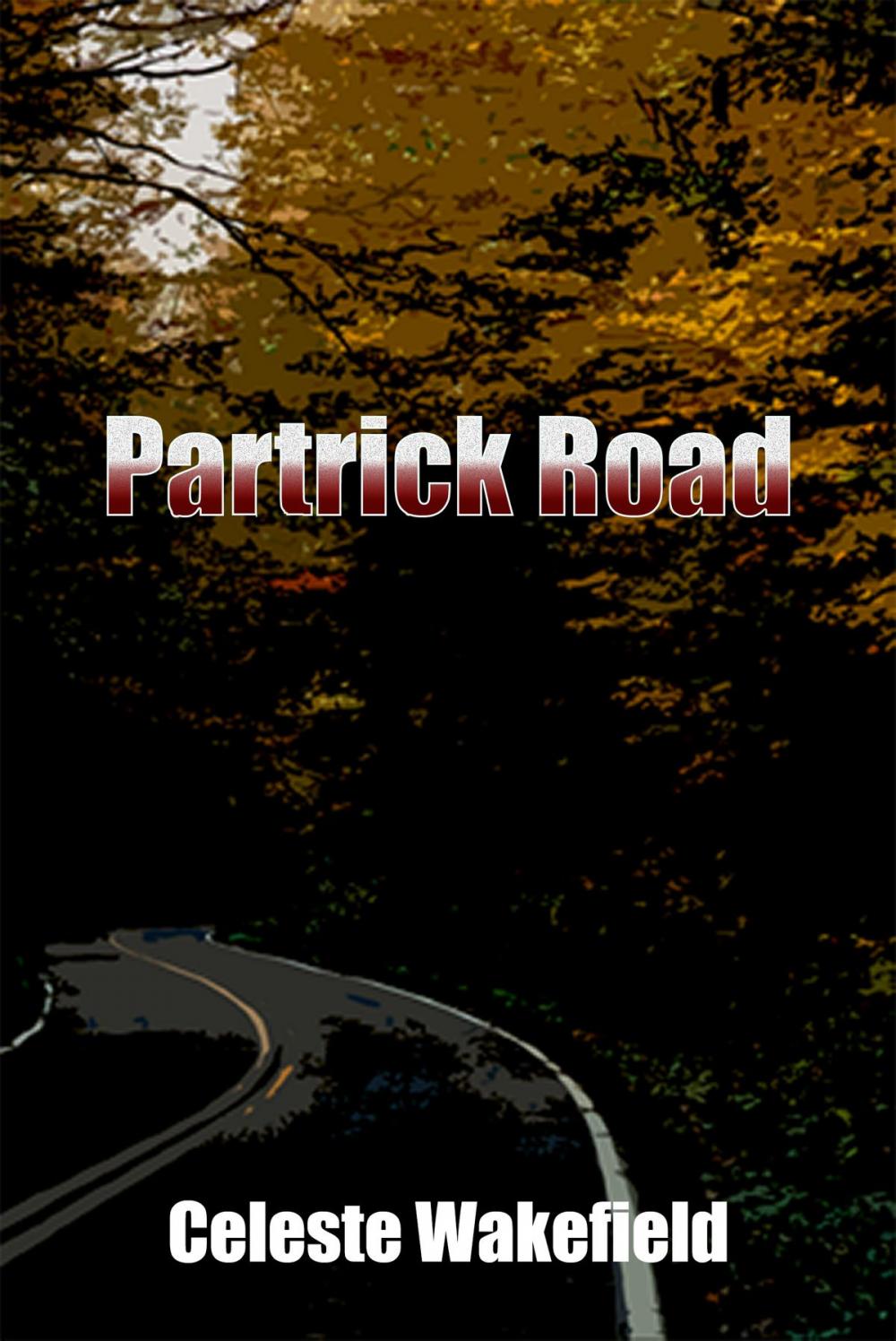 Big bigCover of Partrick Road