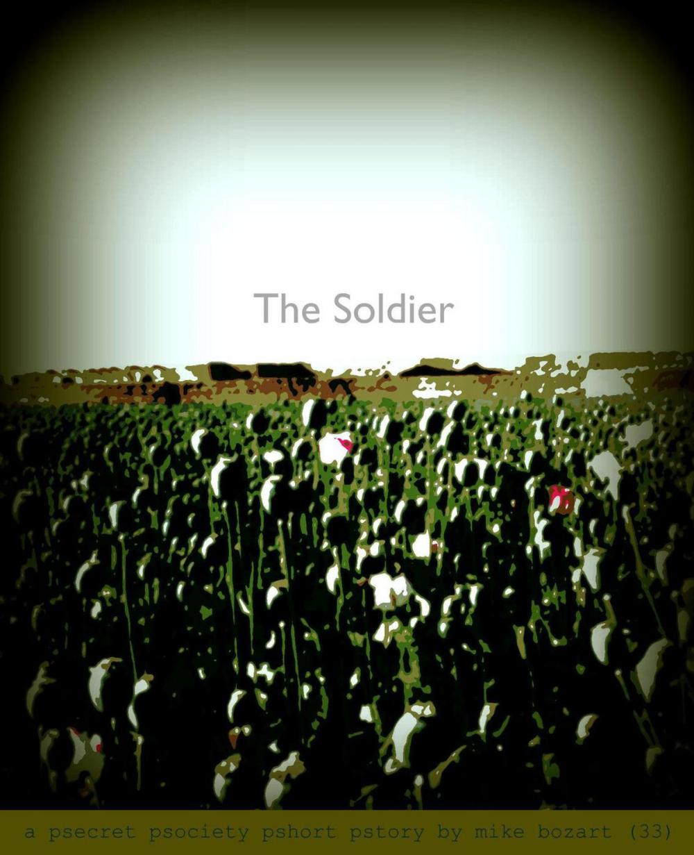 Big bigCover of The Soldier