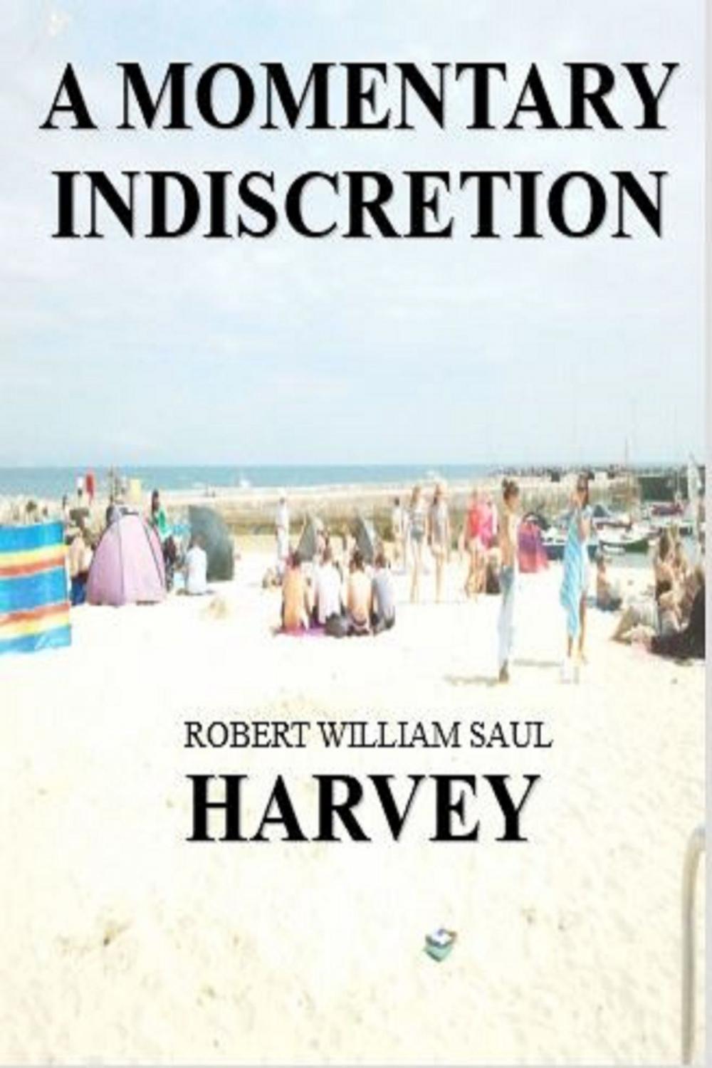 Big bigCover of A Momentary Indiscretion (A Carmington Novel)