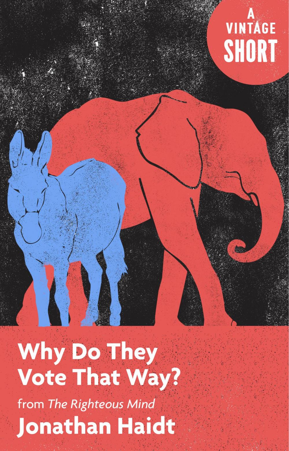 Big bigCover of Why Do They Vote That Way?