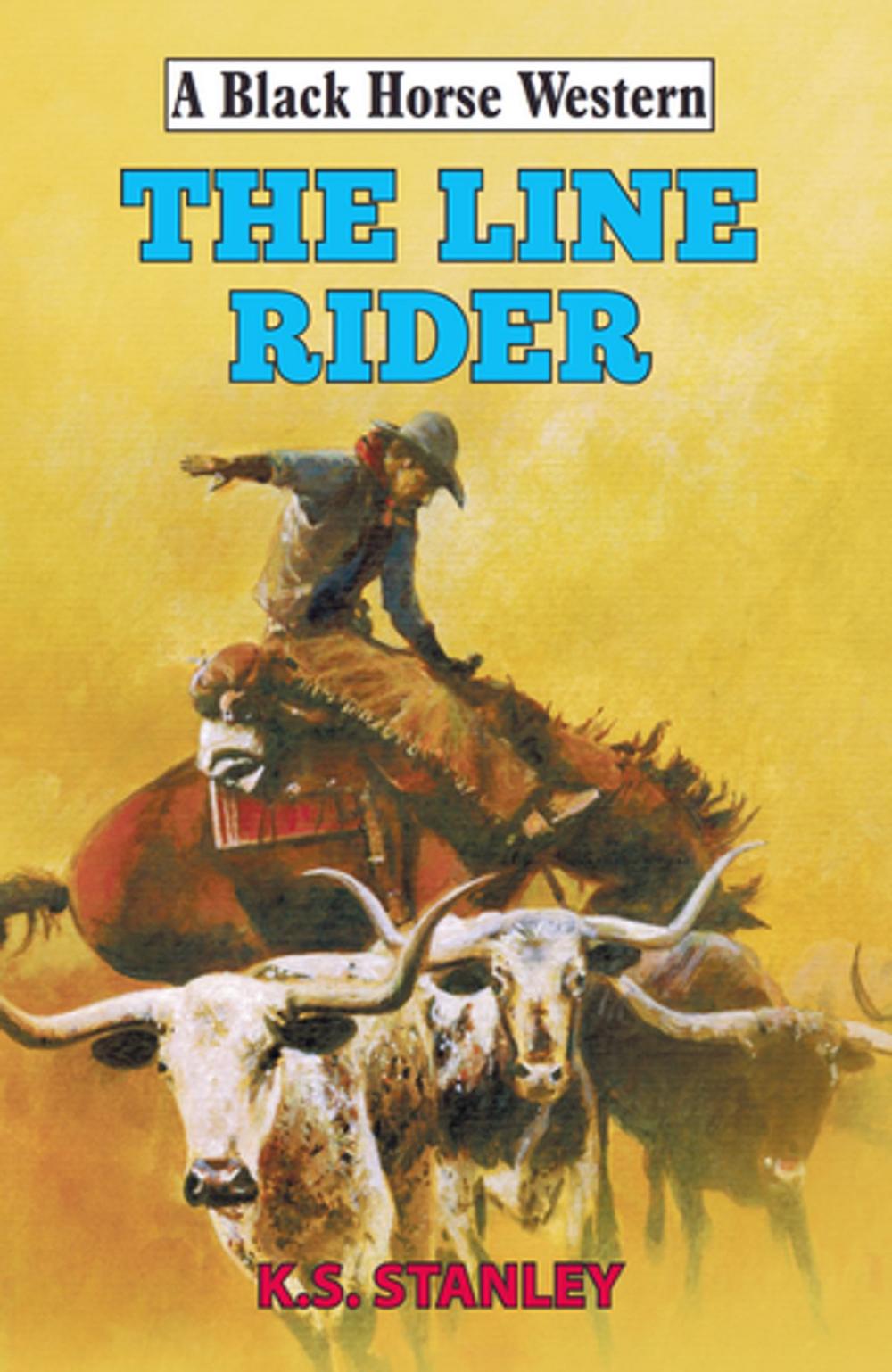 Big bigCover of The Line Rider