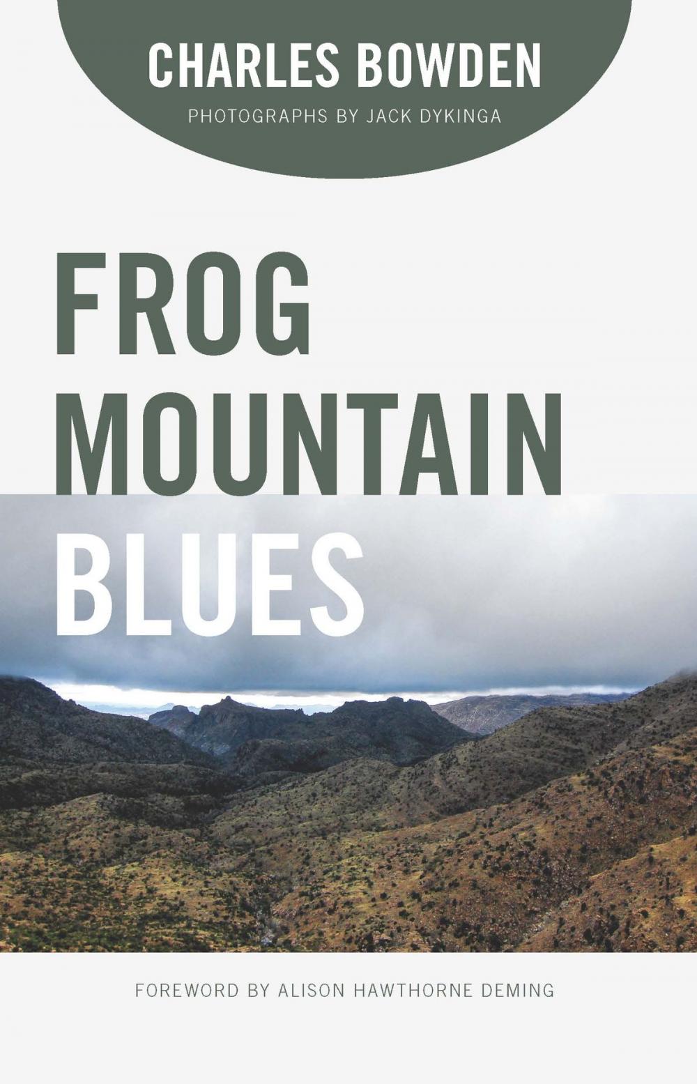 Big bigCover of Frog Mountain Blues