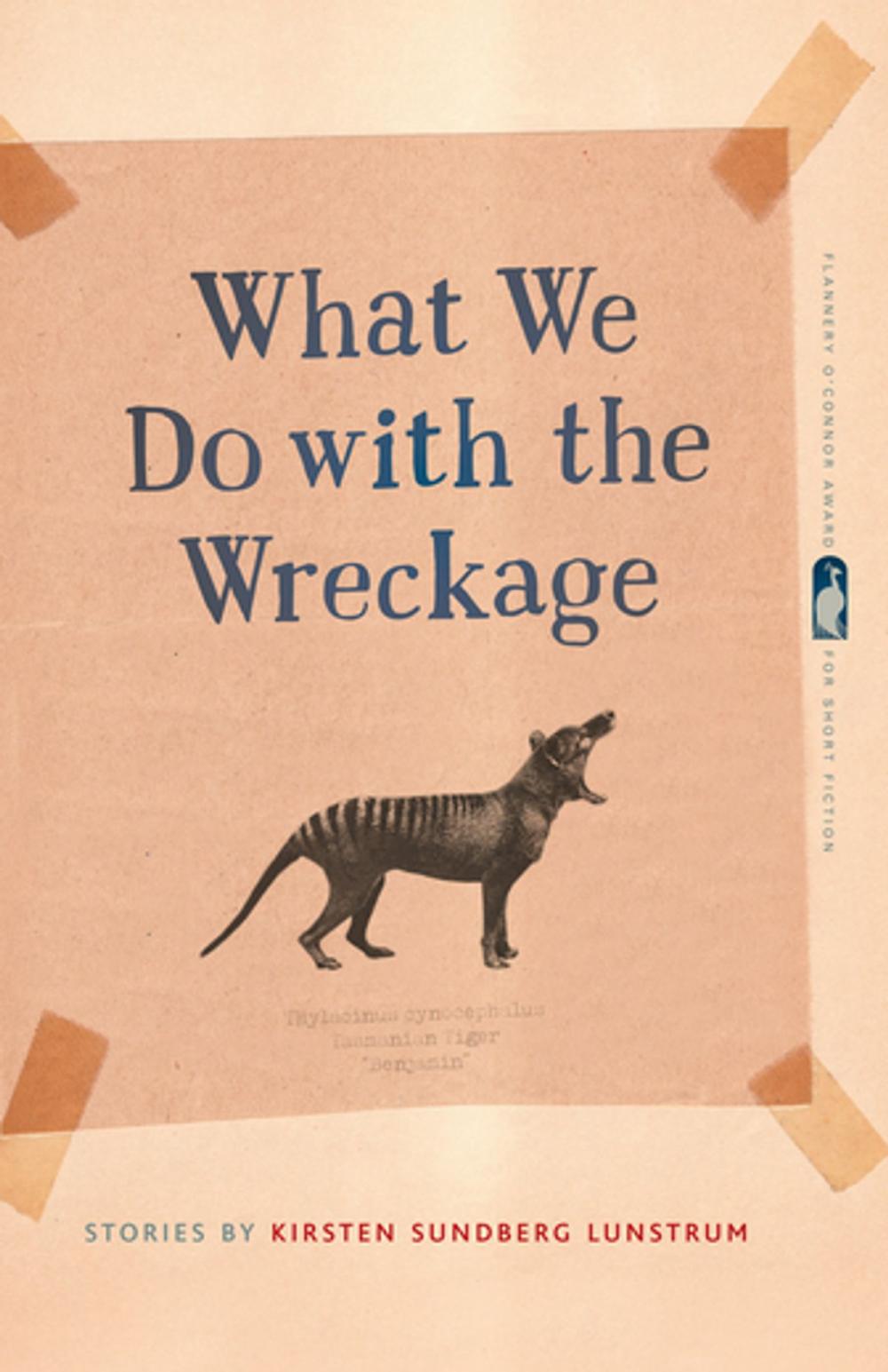 Big bigCover of What We Do with the Wreckage