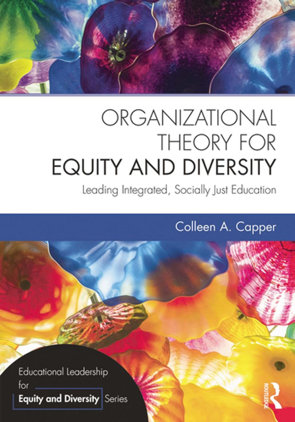 Big bigCover of Organizational Theory for Equity and Diversity