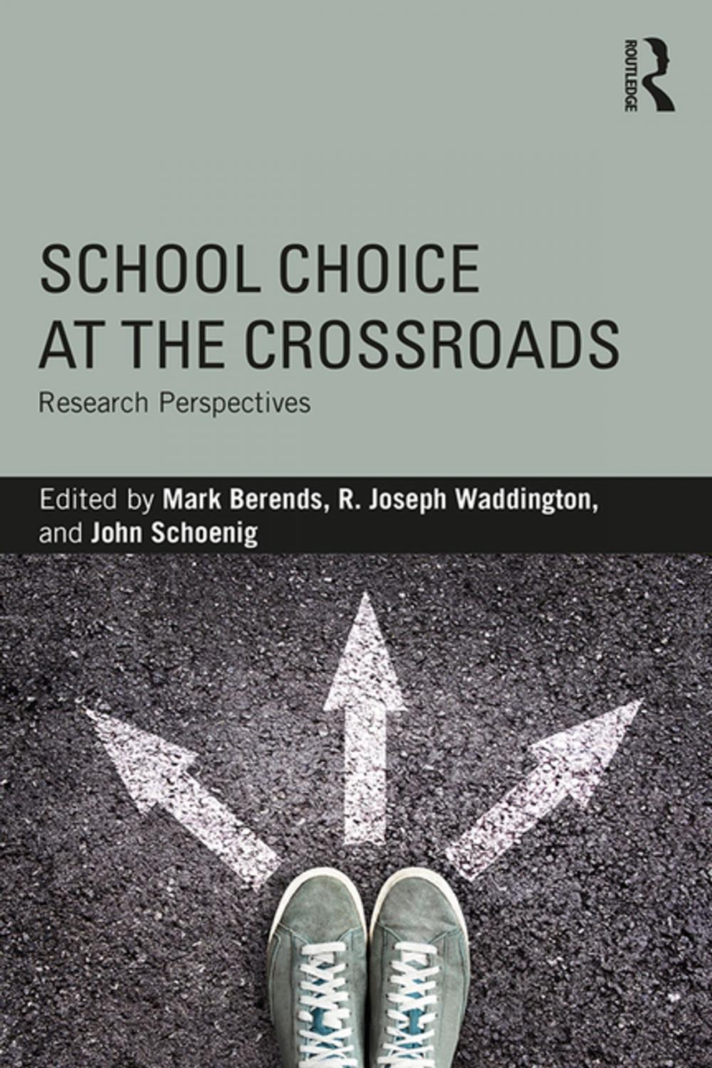 Big bigCover of School Choice at the Crossroads