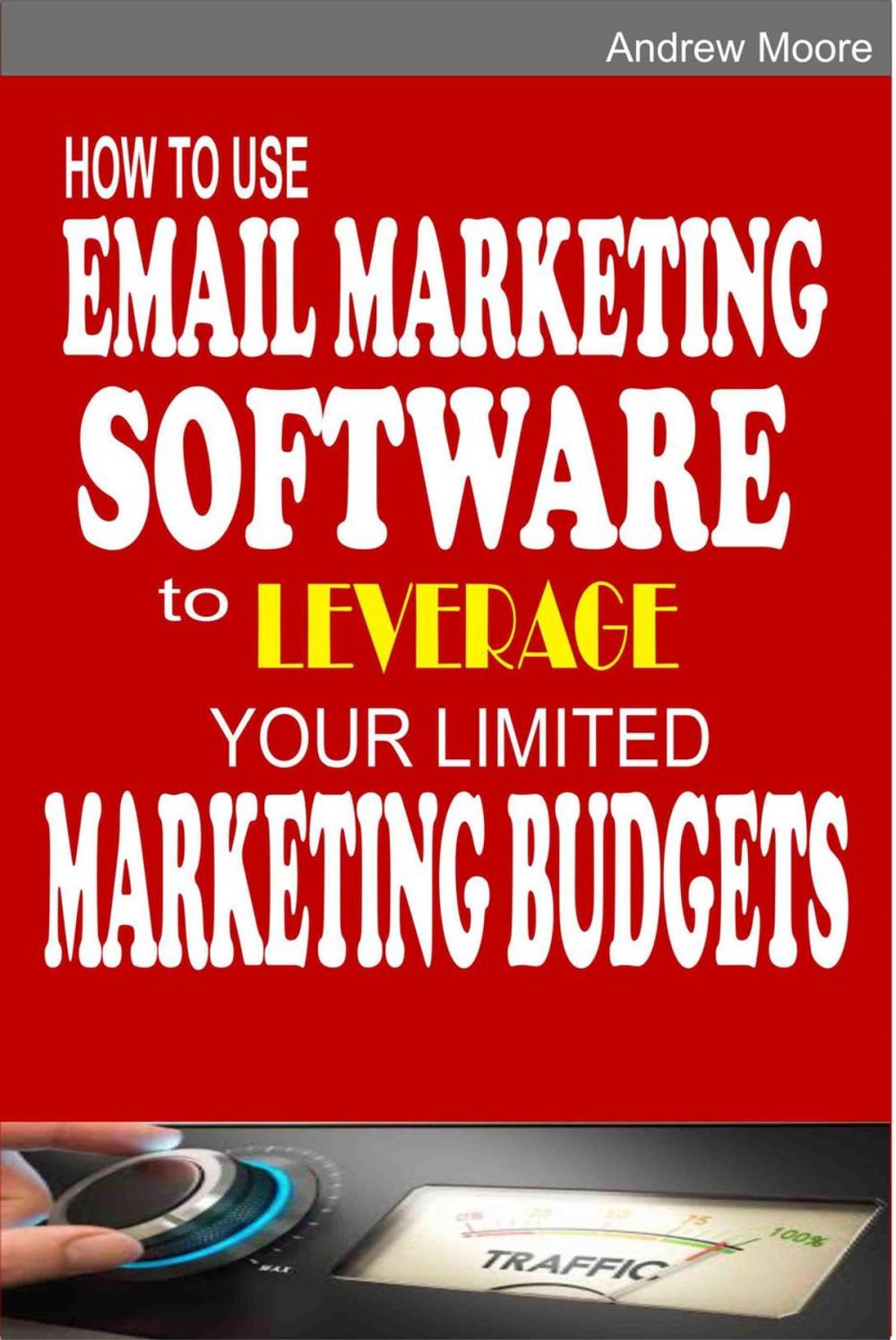 Big bigCover of How to Use Email Marketing Software to Leverage Your Limited Marketing Budgets