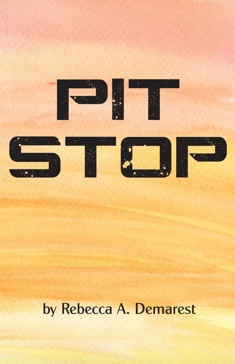 Big bigCover of Pit Stop