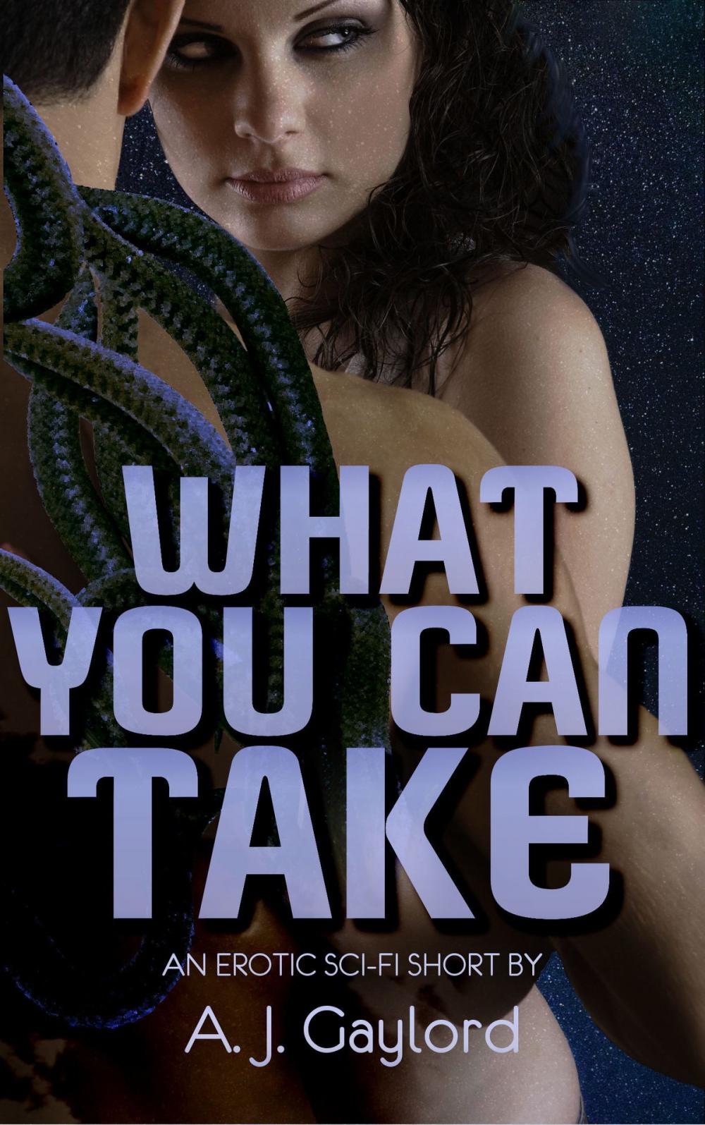 Big bigCover of What You Can Take: An Erotic Science Fiction Short Story