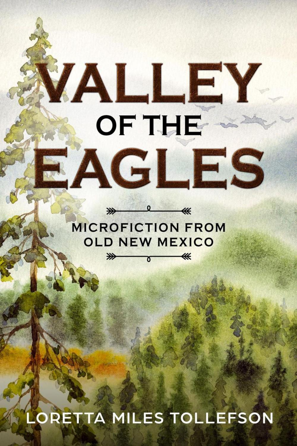 Big bigCover of Valley of the Eagles, Microfiction from Old New Mexico