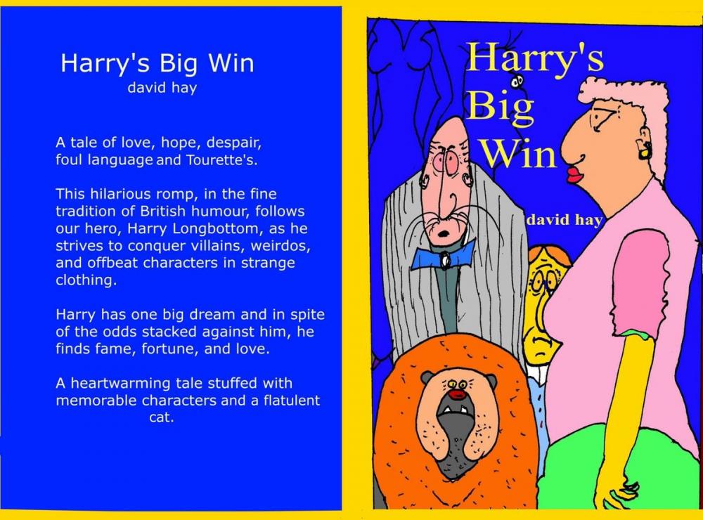 Big bigCover of Harry's Big Win