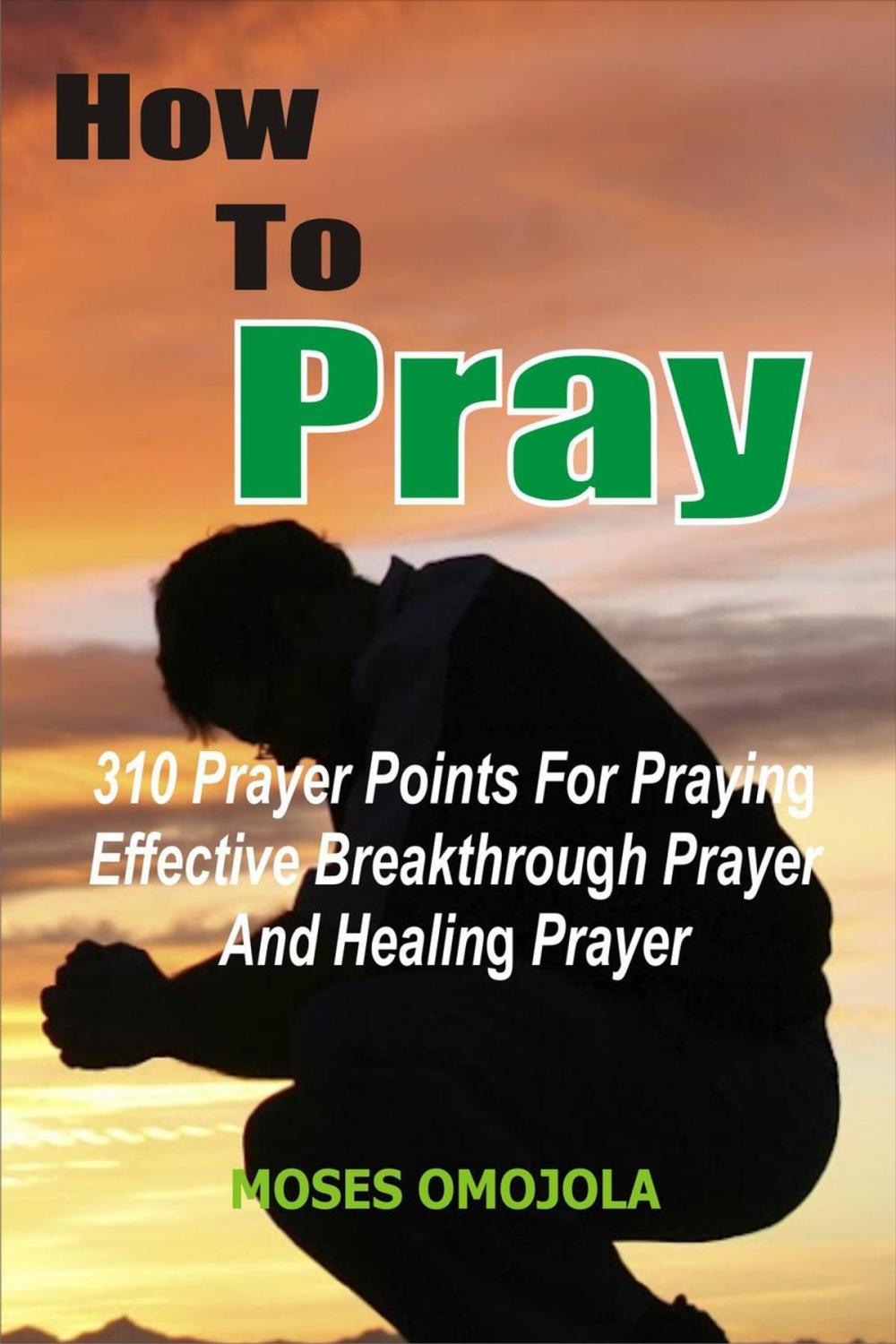 Big bigCover of How To Pray: 310 Prayer Points For Praying Effective Breakthrough Prayer And Healing Prayer