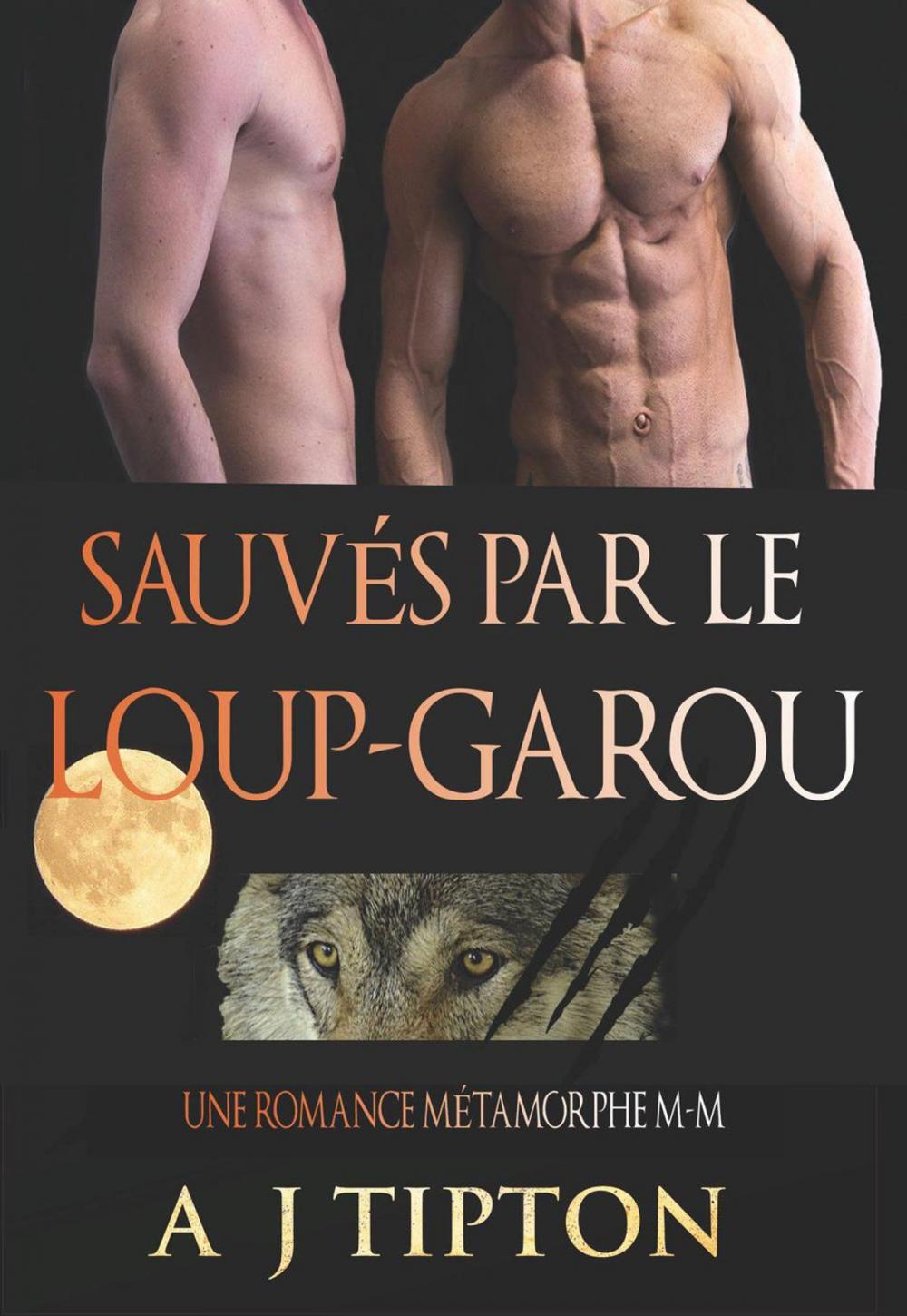 Big bigCover of Sauvés par le Loup-Garou: Une Romance Métamorphe M-M