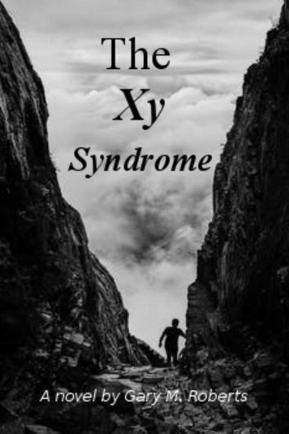 Big bigCover of The Xy Syndrome