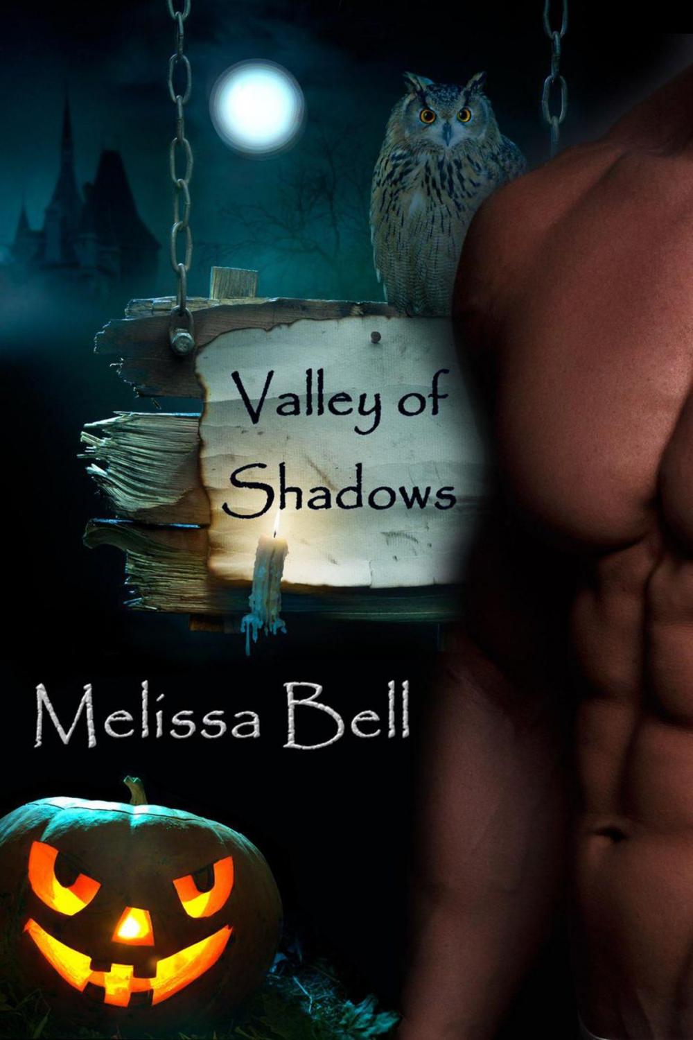 Big bigCover of Valley of Shadows