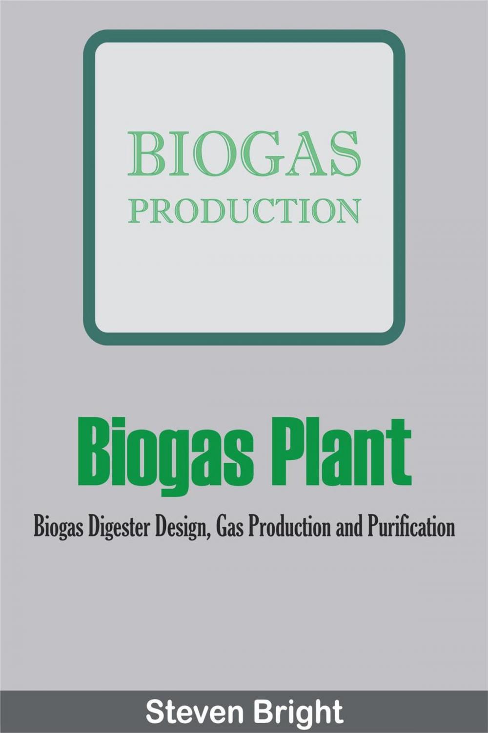 Big bigCover of Biogas Plant: Biogas Digester Design, Gas Production and Purification