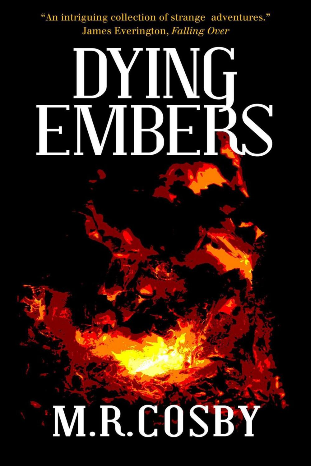 Big bigCover of Dying Embers