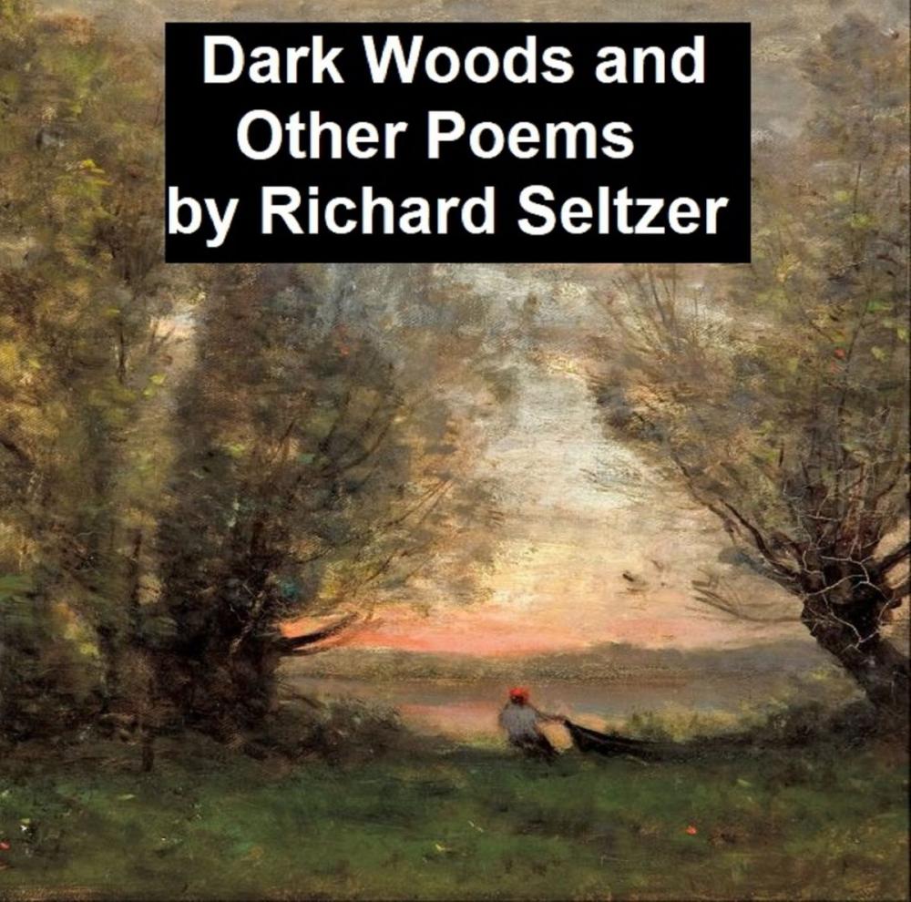 Big bigCover of Dark Woods and Other Poems