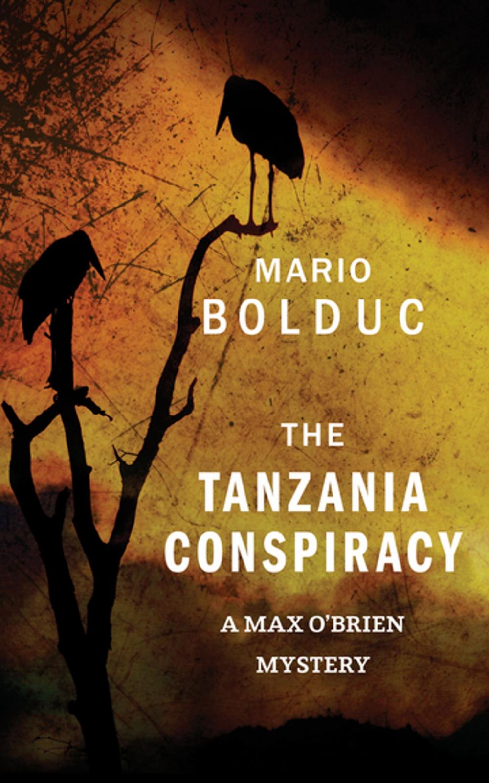 Big bigCover of The Tanzania Conspiracy