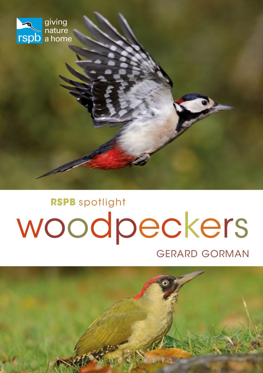 Big bigCover of RSPB Spotlight Woodpeckers