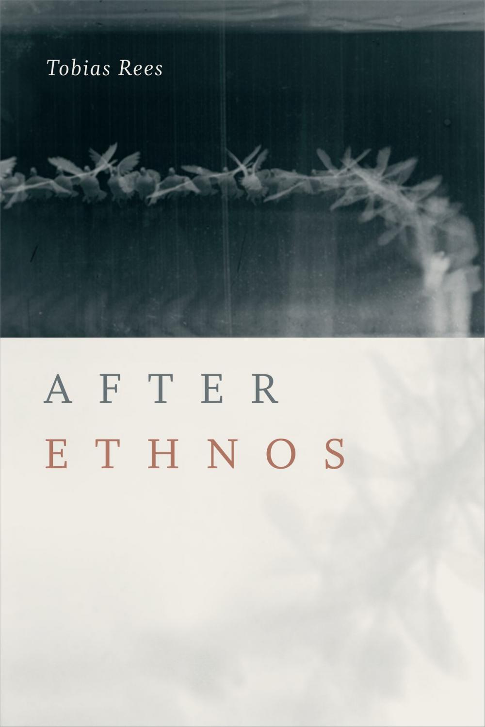 Big bigCover of After Ethnos