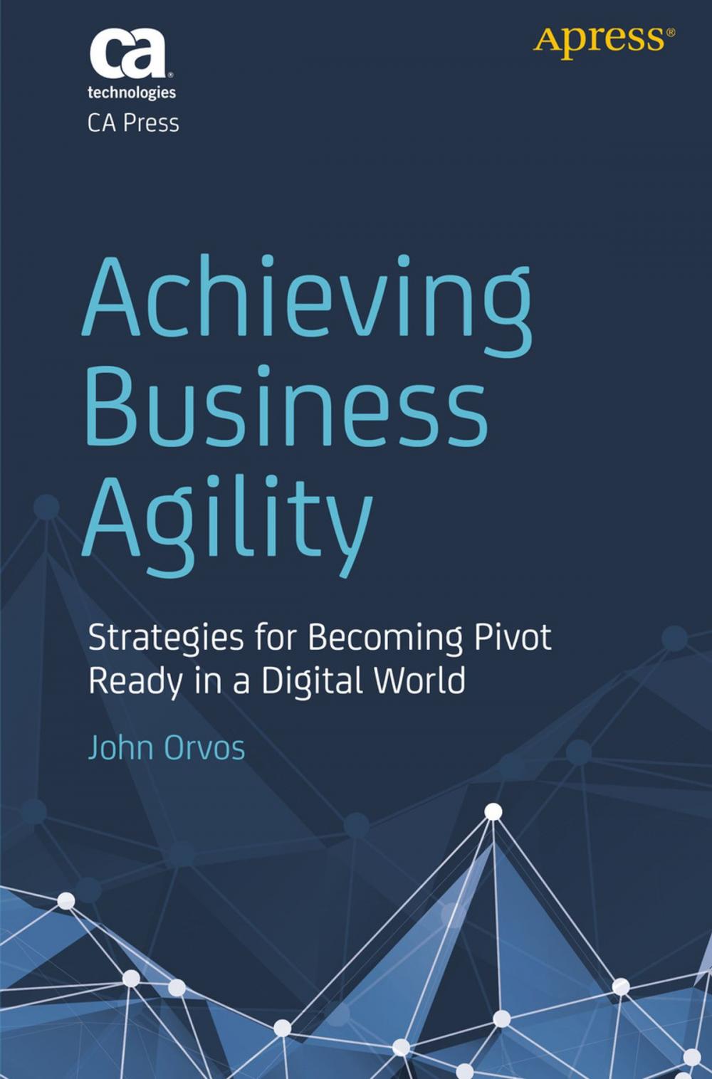 Big bigCover of Achieving Business Agility