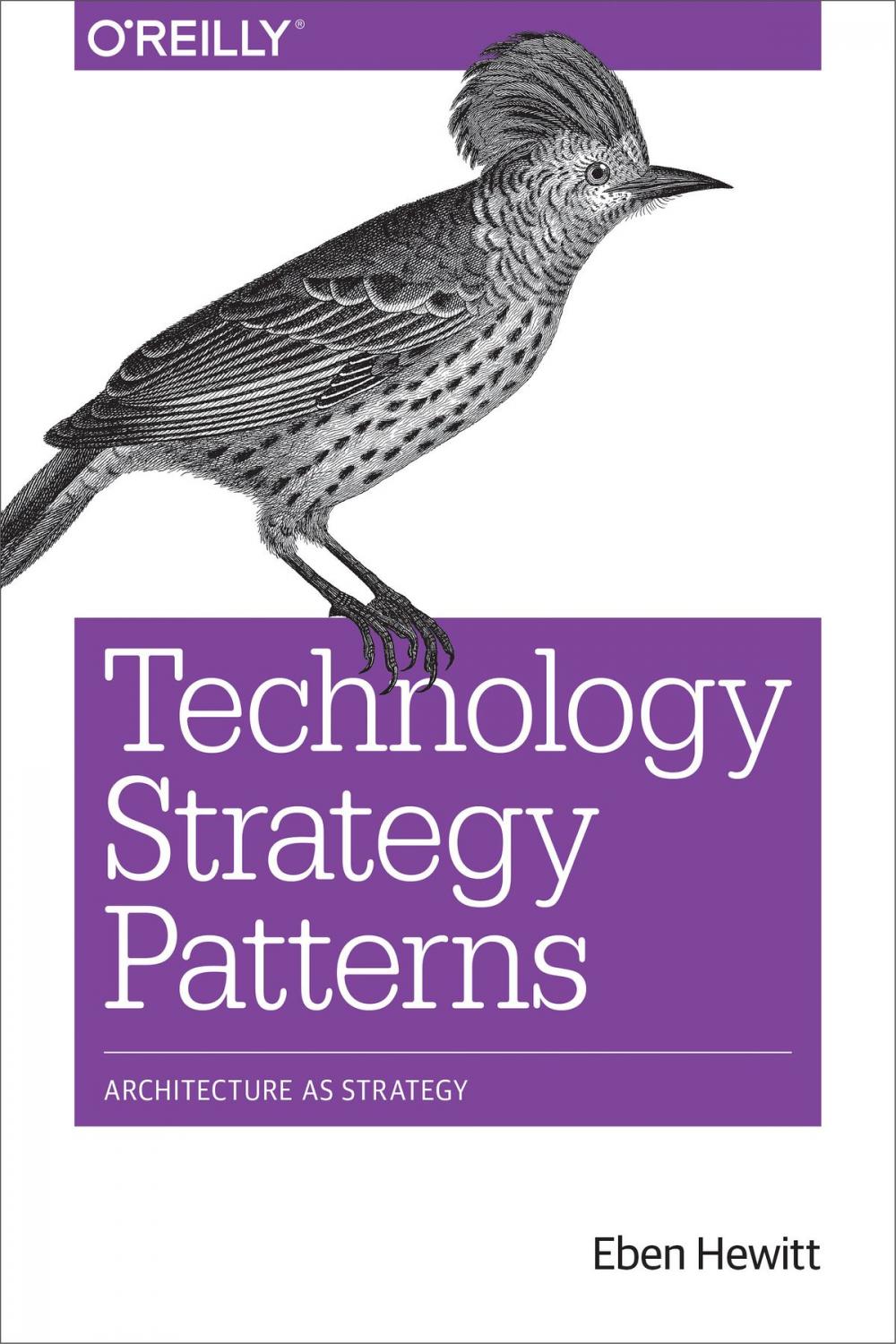 Big bigCover of Technology Strategy Patterns