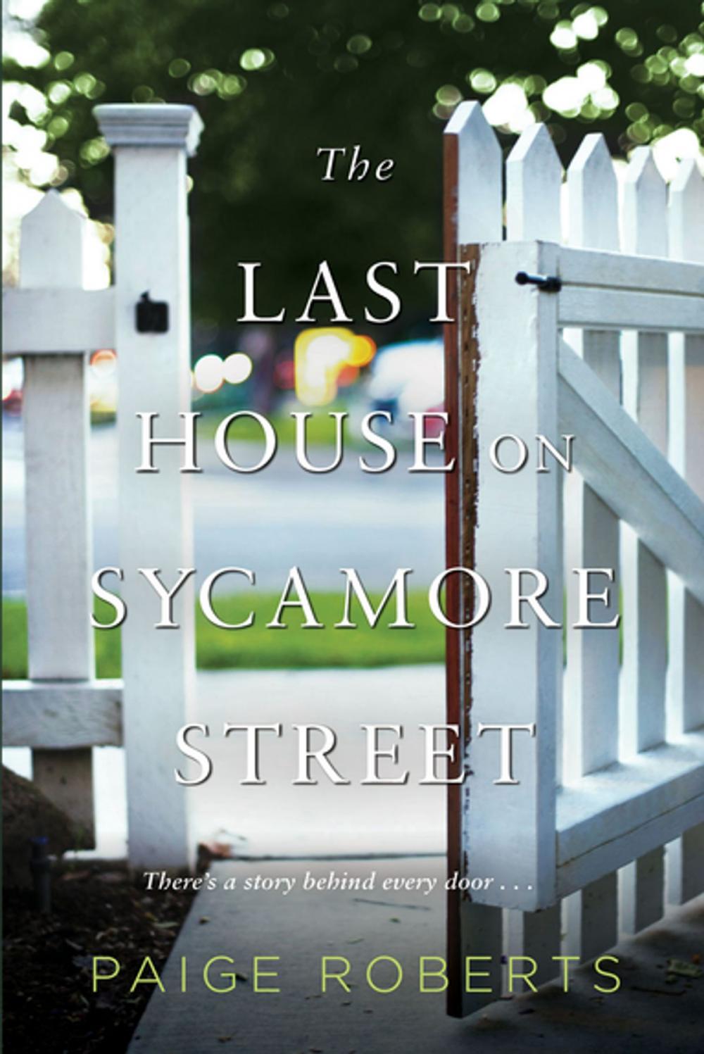 Big bigCover of The Last House on Sycamore Street