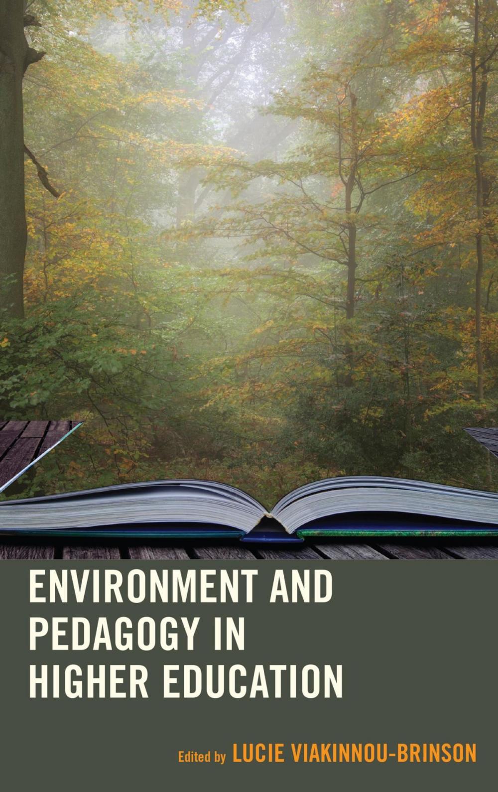Big bigCover of Environment and Pedagogy in Higher Education