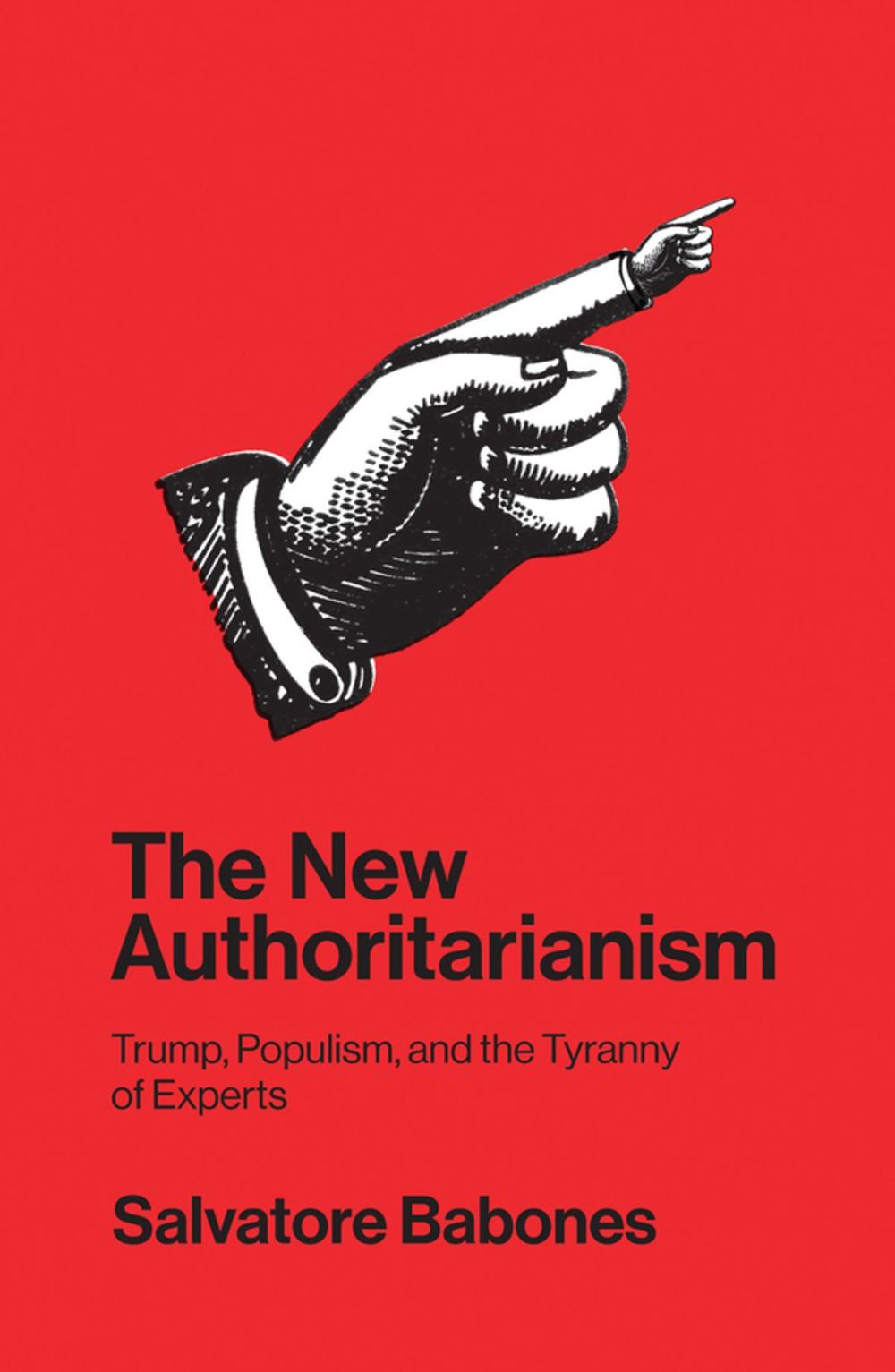 Big bigCover of The New Authoritarianism