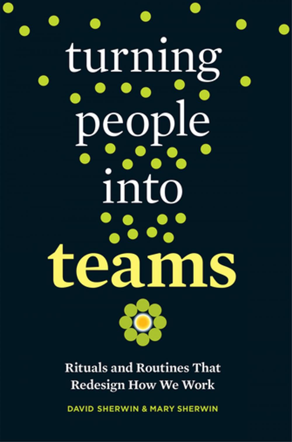 Big bigCover of Turning People into Teams