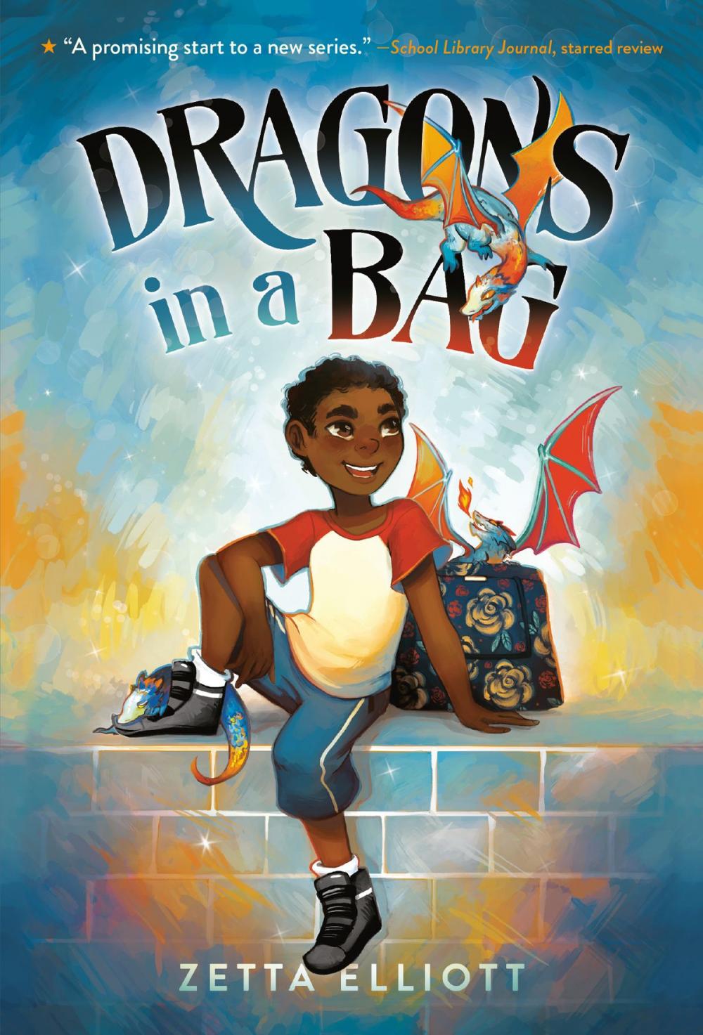 Big bigCover of Dragons in a Bag