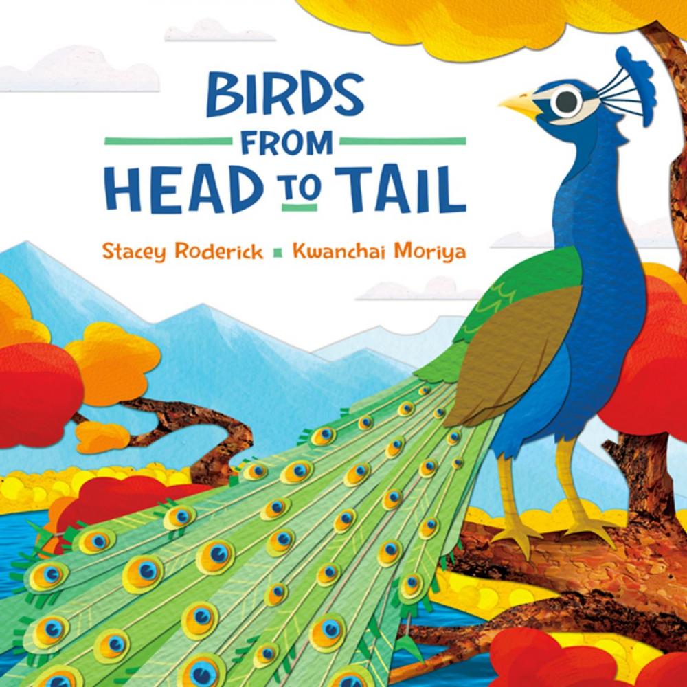 Big bigCover of Birds from Head to Tail