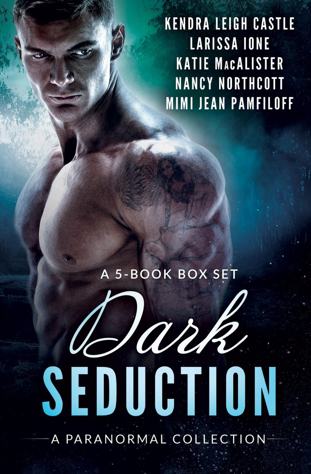 Big bigCover of Dark Seduction Box Set